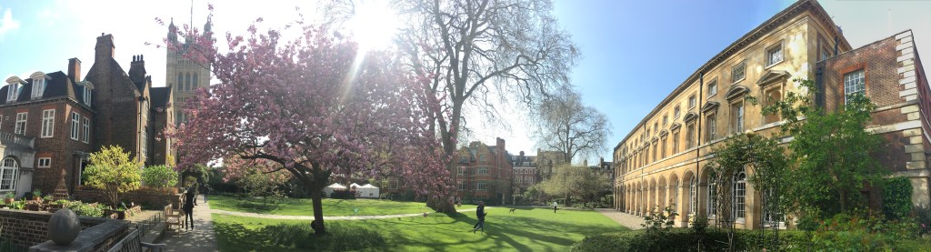 Still Learning London